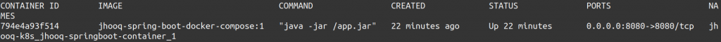 docker ps -a check the docker container status